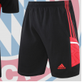 Bayern Munich Training Jersey 22/23(Customizable)